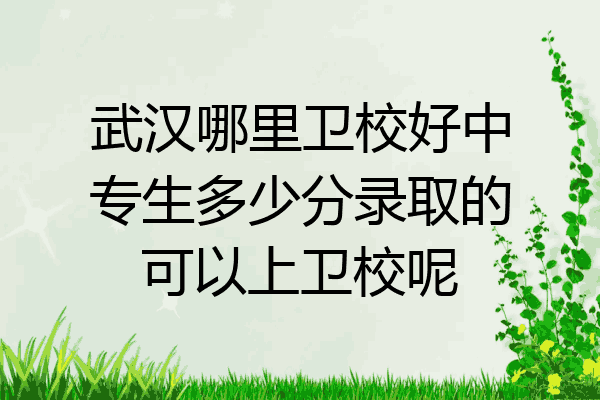 武汉哪里卫校好中专生多少分录取的可以上卫校呢