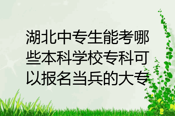 湖北中专生能考哪些本科学校专科可以报名当兵的大专