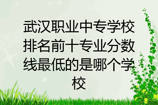 武汉职业中专学校排名前十专业分数线最低的是哪个学校