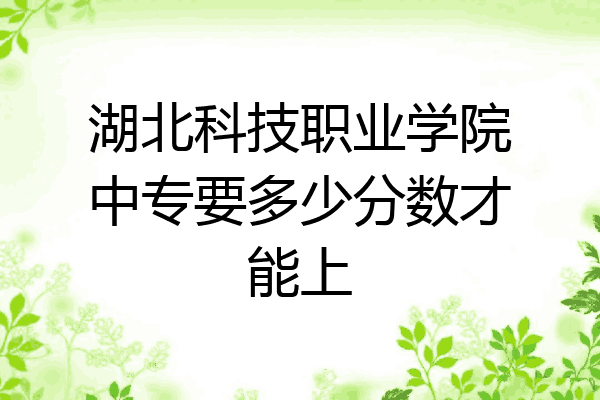 湖北科技职业学院中专要多少分数才能上