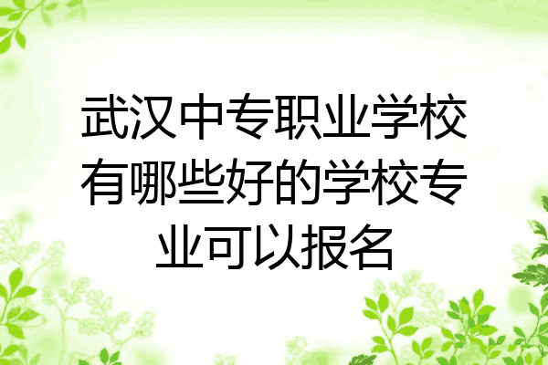 武汉中专职业学校有哪些好的学校专业可以报名