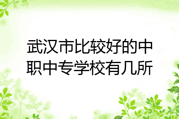 武汉市比较好的中职中专学校有几所