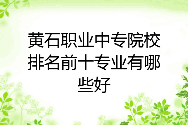 黄石职业中专院校排名前十专业有哪些好