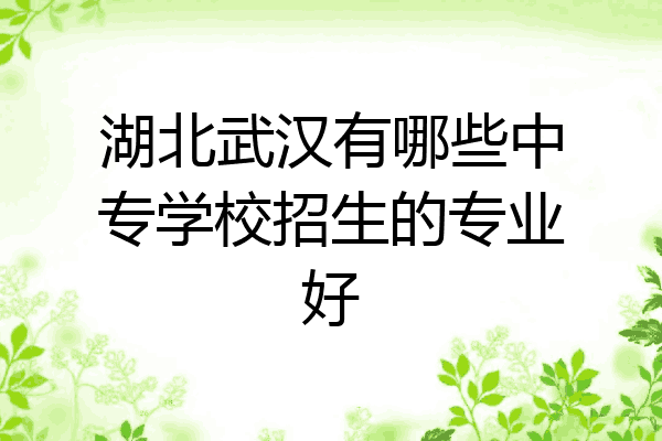 湖北武汉有哪些中专学校招生的专业好