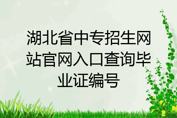 湖北省中专招生网站官网入口查询毕业证编号