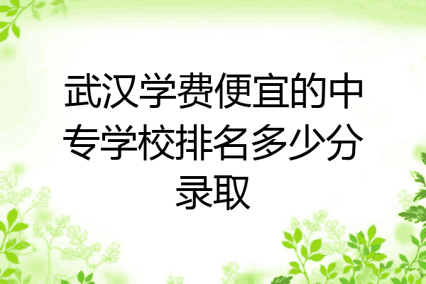 武汉学费便宜的中专学校排名多少分录取