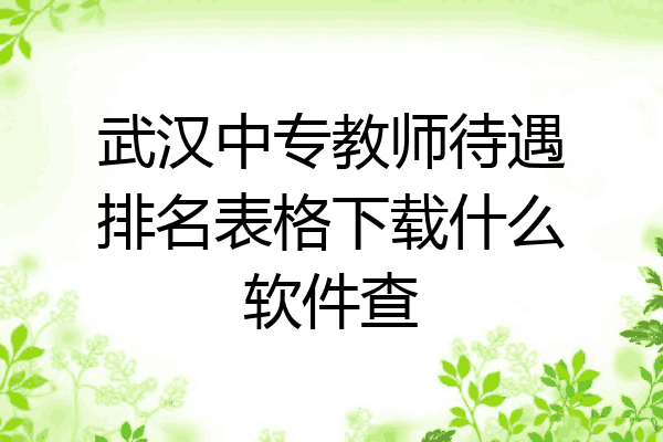 武汉中专教师待遇排名表格下载什么软件查