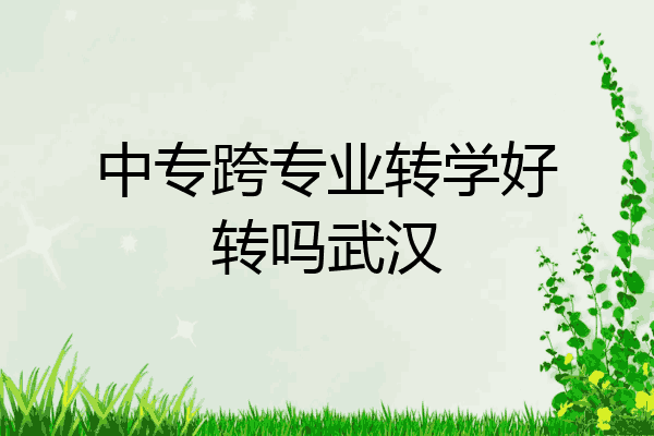 中专跨专业转学好转吗武汉