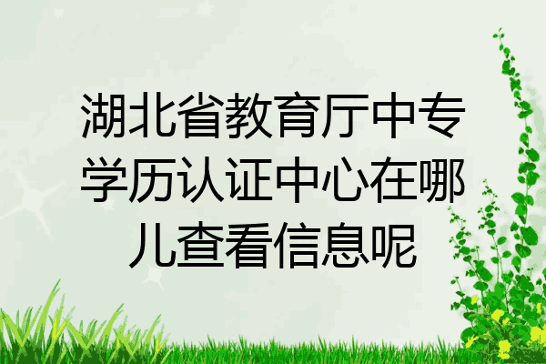 湖北省教育厅中专学历认证中心在哪儿查看信息呢