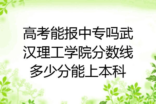 高考能报中专吗武汉理工学院分数线多少分能上本科