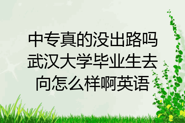 中专真的没出路吗武汉大学毕业生去向怎么样啊英语