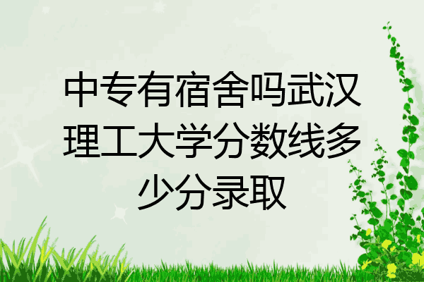 中专有宿舍吗武汉理工大学分数线多少分录取