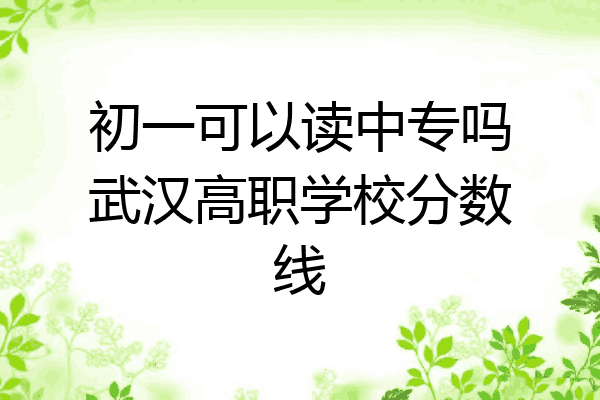 初一可以读中专吗武汉高职学校分数线