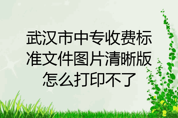 武汉市中专收费标准文件图片清晰版怎么打印不了