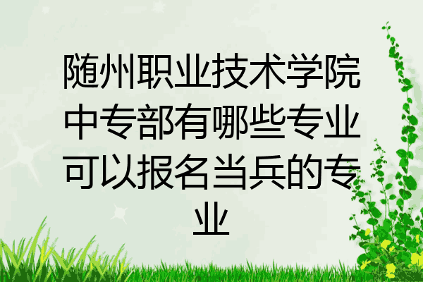 随州职业技术学院中专部有哪些专业可以报名当兵的专业