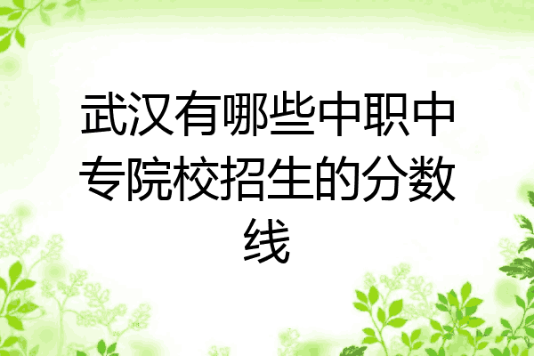 武汉有哪些中职中专院校招生的分数线