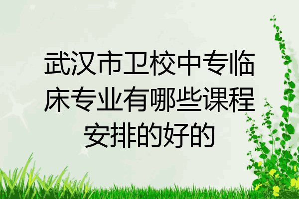 武汉市卫校中专临床专业有哪些课程安排的好的