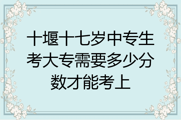 十堰十七岁中专生考大专需要多少分数才能考上