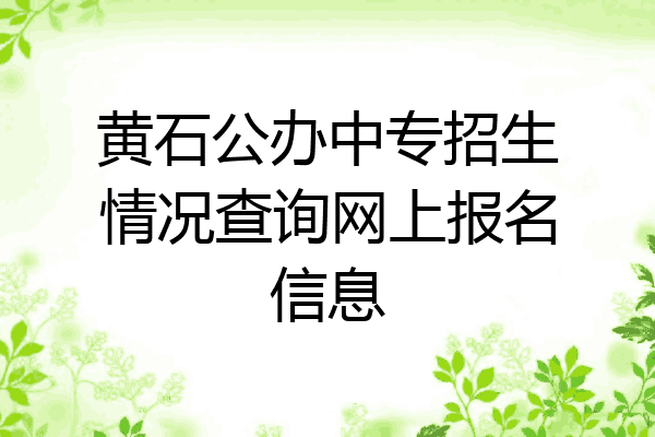 黄石公办中专招生情况查询网上报名信息