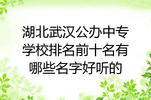 湖北武汉公办中专学校排名前十名有哪些名字好听的
