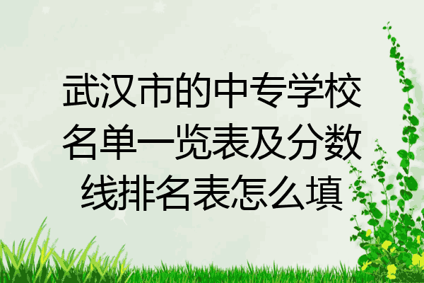 武汉市的中专学校名单一览表及分数线排名表怎么填
