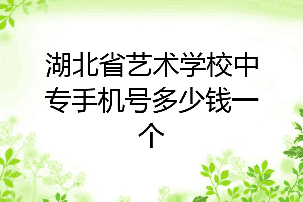 湖北省艺术学校中专手机号多少钱一个