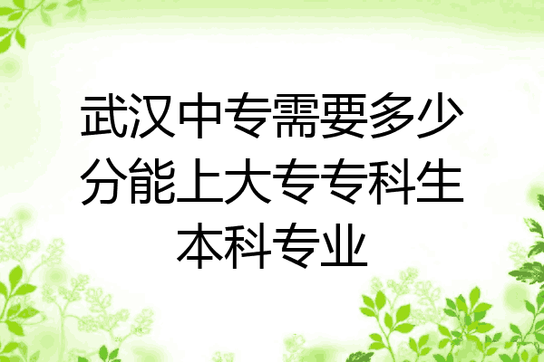 武汉中专需要多少分能上大专专科生本科专业