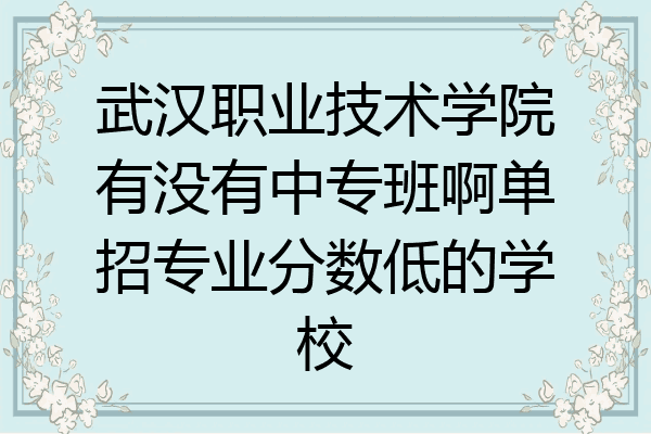 武汉职业技术学院有没有中专班啊单招专业分数低的学校