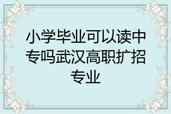 小学毕业可以读中专吗武汉高职扩招专业