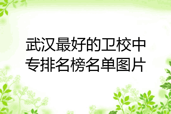 武汉最好的卫校中专排名榜名单图片