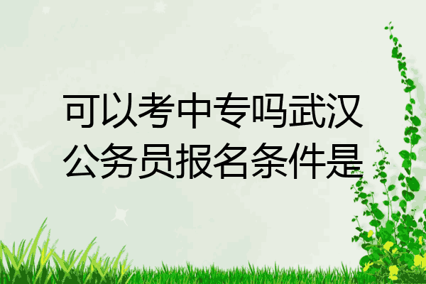 可以考中专吗武汉公务员报名条件是
