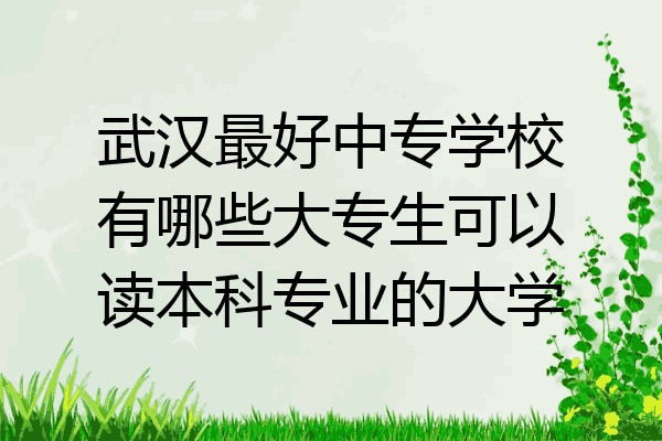 武汉最好中专学校有哪些大专生可以读本科专业的大学