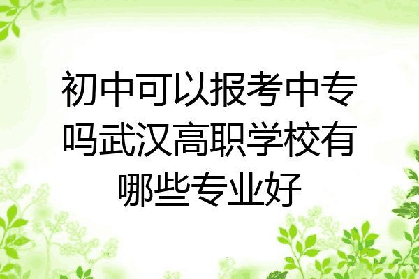 初中可以报考中专吗武汉高职学校有哪些专业好