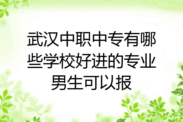 武汉中职中专有哪些学校好进的专业男生可以报