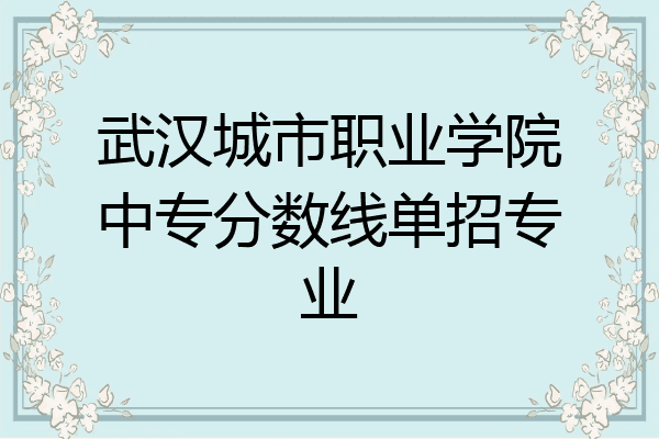 武汉城市职业学院中专分数线单招专业