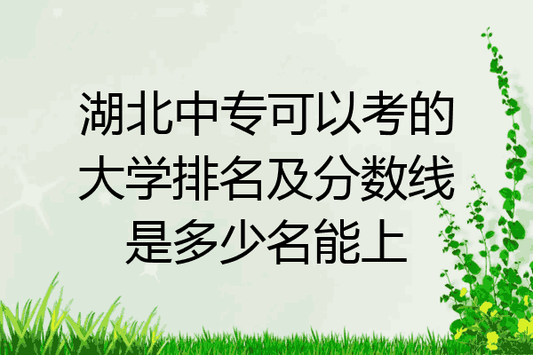 湖北中专可以考的大学排名及分数线是多少名能上