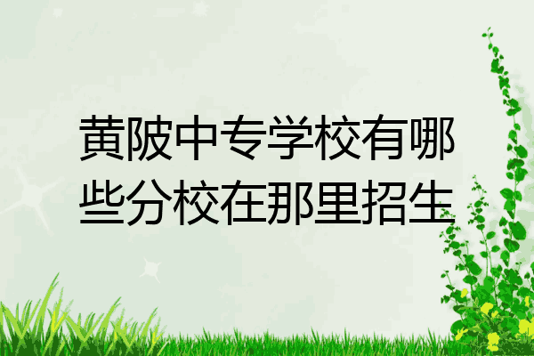 黄陂中专学校有哪些分校在那里招生