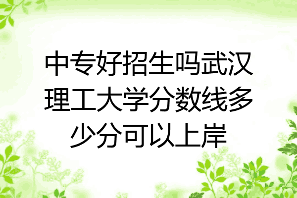 中专好招生吗武汉理工大学分数线多少分可以上岸