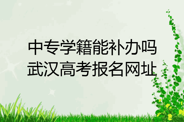 中专学籍能补办吗武汉高考报名网址