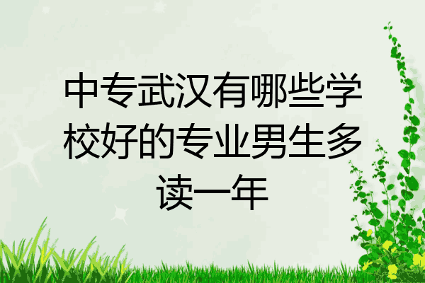 中专武汉有哪些学校好的专业男生多读一年