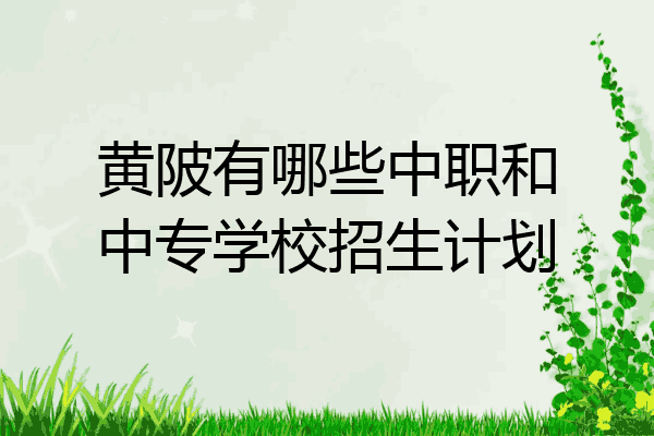 黄陂有哪些中职和中专学校招生计划