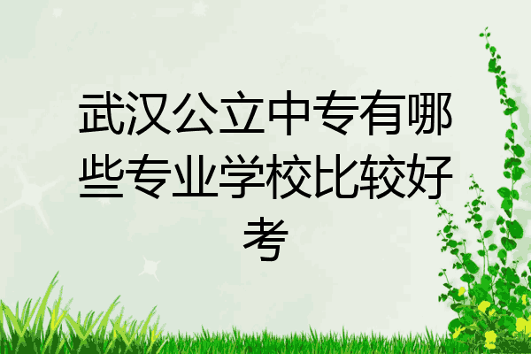 武汉公立中专有哪些专业学校比较好考