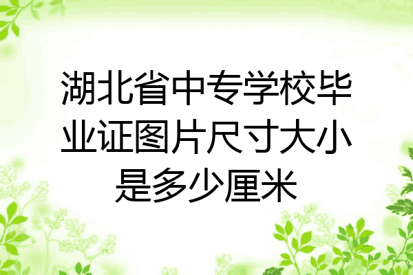 湖北省中专学校毕业证图片尺寸大小是多少厘米
