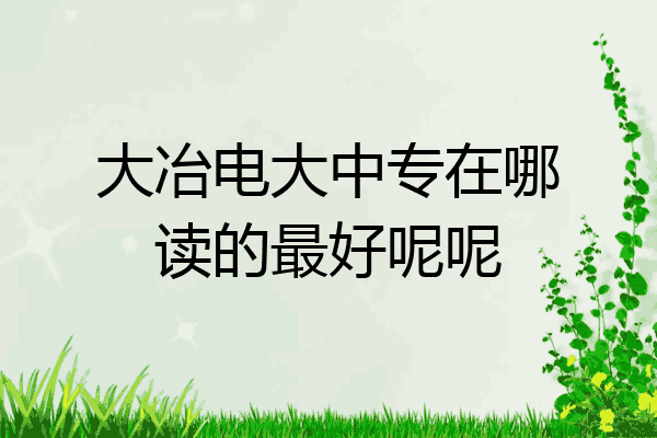 大冶电大中专在哪读的最好呢呢