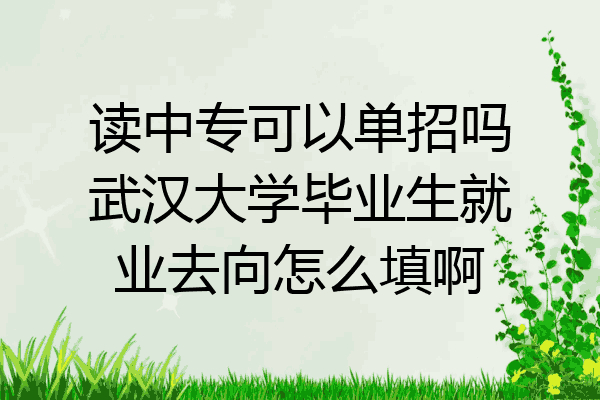 读中专可以单招吗武汉大学毕业生就业去向怎么填啊