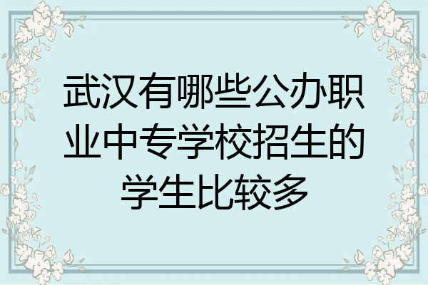 武汉有哪些公办职业中专学校招生的学生比较多