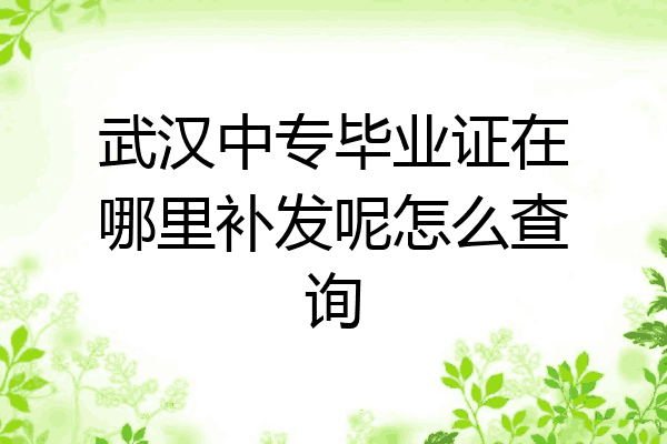 武汉中专毕业证在哪里补发呢怎么查询