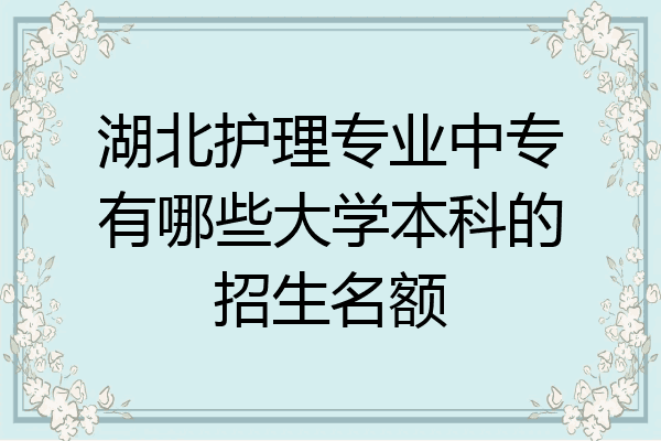 湖北护理专业中专有哪些大学本科的招生名额