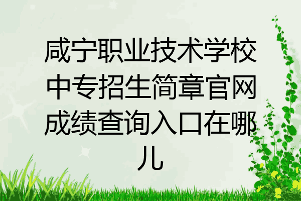 咸宁职业技术学校中专招生简章官网成绩查询入口在哪儿