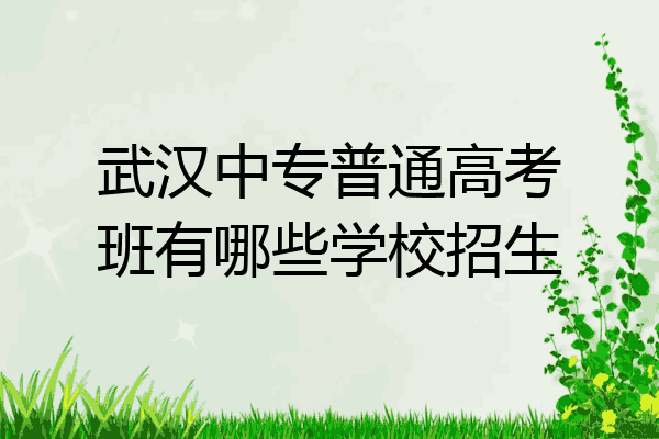 武汉中专普通高考班有哪些学校招生
